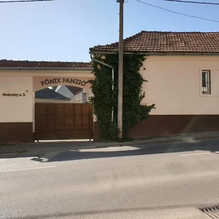 בית הארחה Fonix Panzio