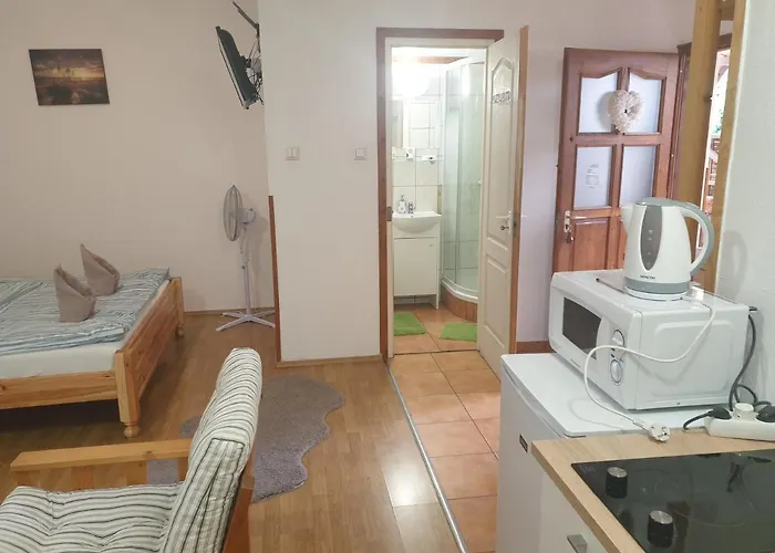 Pensjonat Fonix Panzio