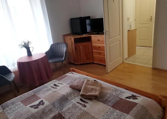 Pensjonat Fonix Panzio 3*