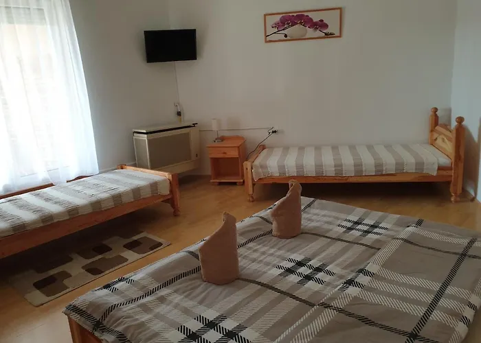 Pensjonat Fonix Panzio 3*